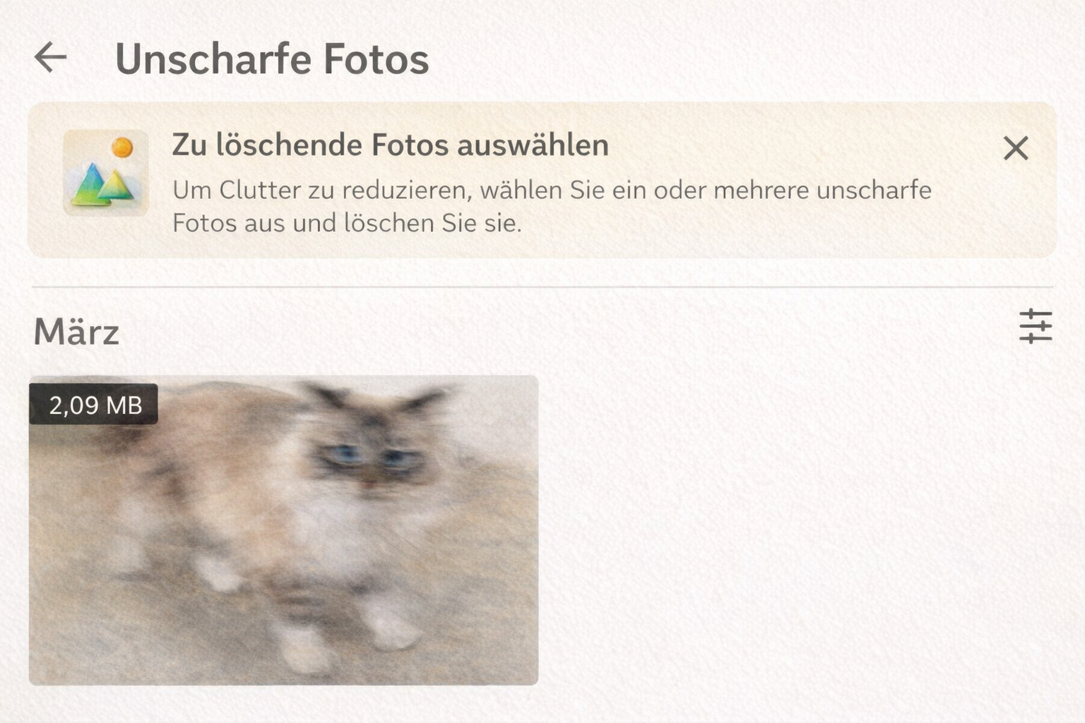 Google Photos zeigt Elfi als Kandidatin für die Lösch-Liste 'Unscharfe Fotos'.